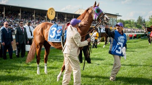 So do nasal strips work the same on two and four-legged athletes?