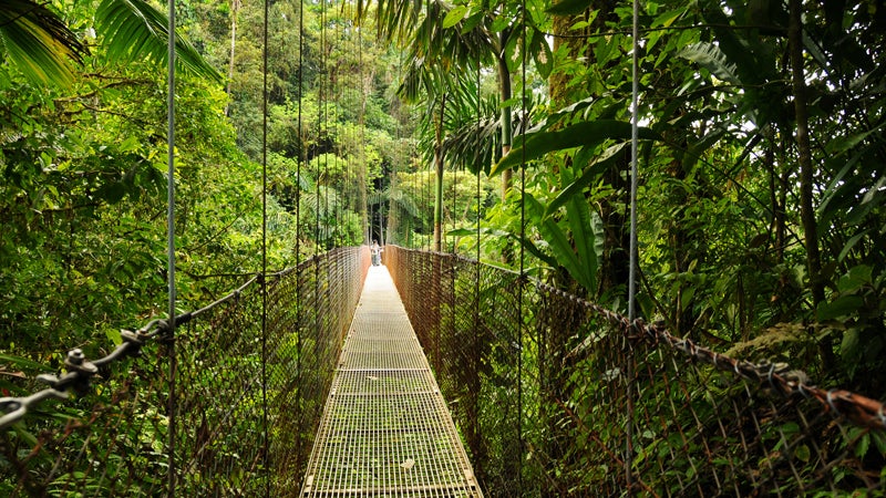 costa rica, adventure, vacation, hanging bridges, costa rica arenal national park