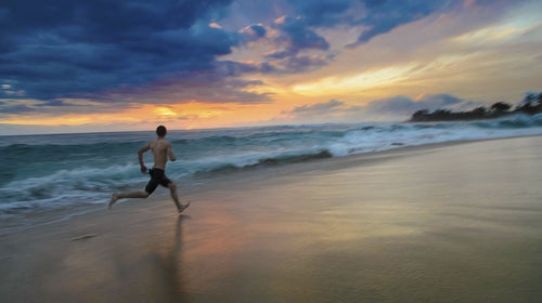 crossfit crossfit travel travel ԹϺ Online