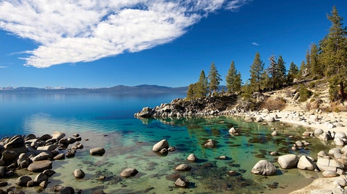 ԹϺOnline Secret Harbor Cove Lake Tahoe strip down beer great outdoors nude naked drink