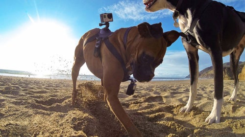 Make the most of your GoPro.