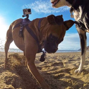 Make the most of your GoPro.