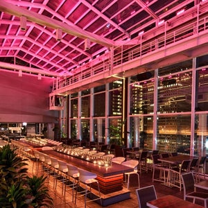 The Roof at The Wit, Chicago.