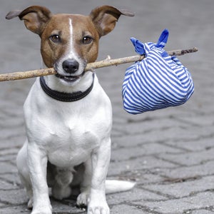 OutsideOnline Travel Agent international travel airport dog stick customs