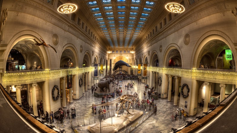 The Field Museum in Chicago: A pretty awe-inspiring place.