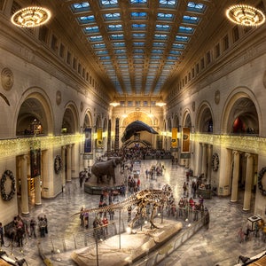 The Field Museum in Chicago: A pretty awe-inspiring place.