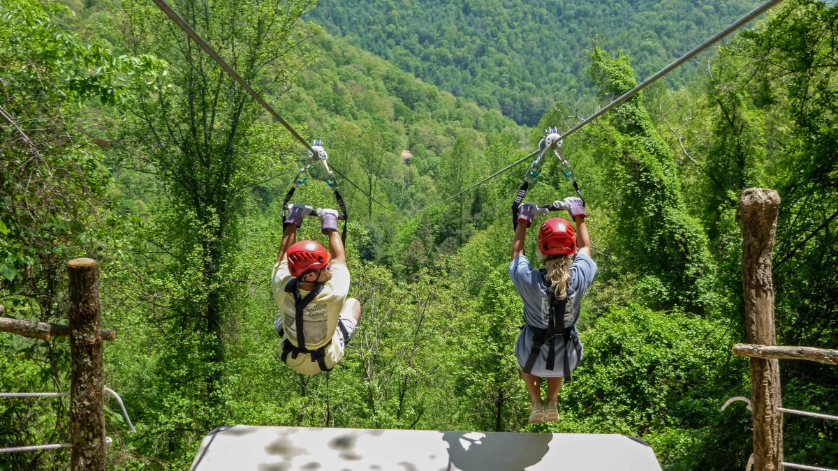 What Are the Best Zip Line Tours?