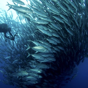 Call it night school.