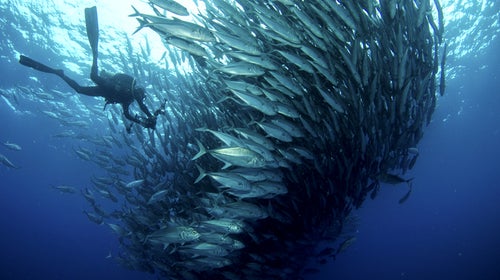 Call it night school.