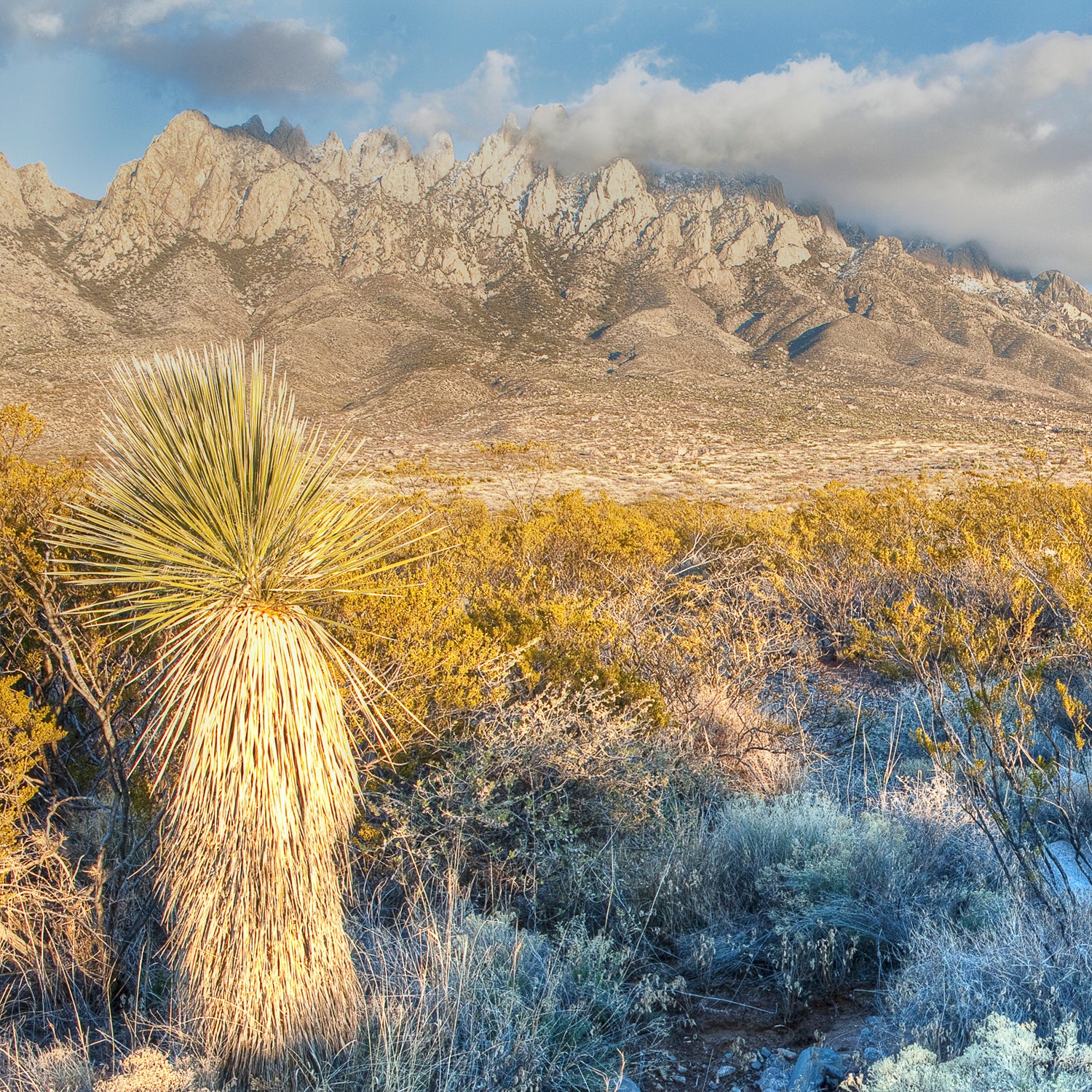 NLCS New Mexico Wilderness organ mtns outside magazine outside online national park service nps