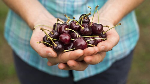 OutsideOnline cherries cherry juice sleep deprivation muscle soreness recovery conditioning better pucker up rest Koolaid not-quite