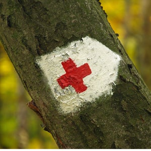 Since country doctors aren't a thing anymore, it's probably best that you stay off the trail the day after you donate blood.