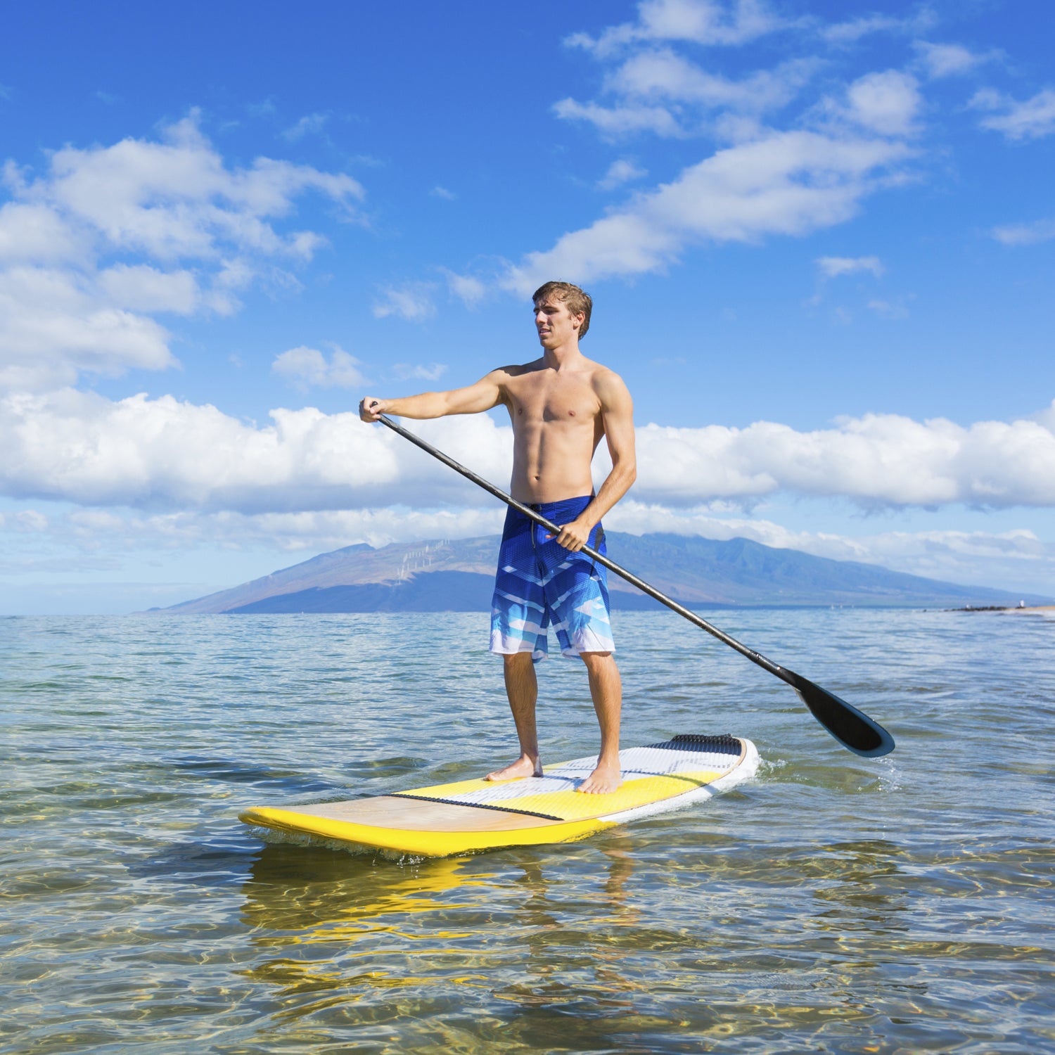 paddle surf HAWAII ロングボード パドルボード SUP - マリンスポーツ