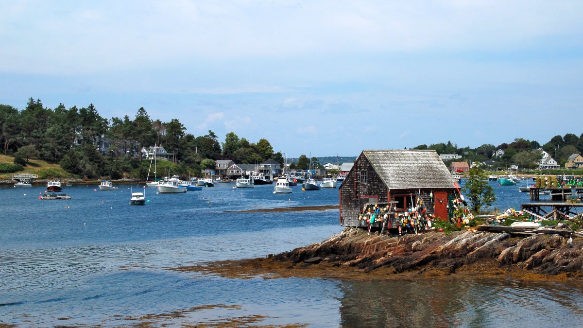 What are the Best Lobster Shacks on the Maine Coast?