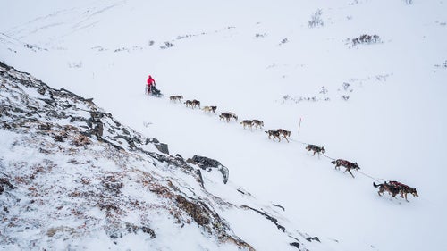 Outside Magazine OutsideOnline Iditarod Dogs