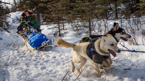 Outside Magazine OutsideOnline Iditarod Dogs