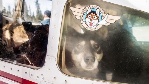 Outside Magazine OutsideOnline Iditarod Dogs