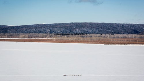 Outside Magazine OutsideOnline Iditarod Dogs
