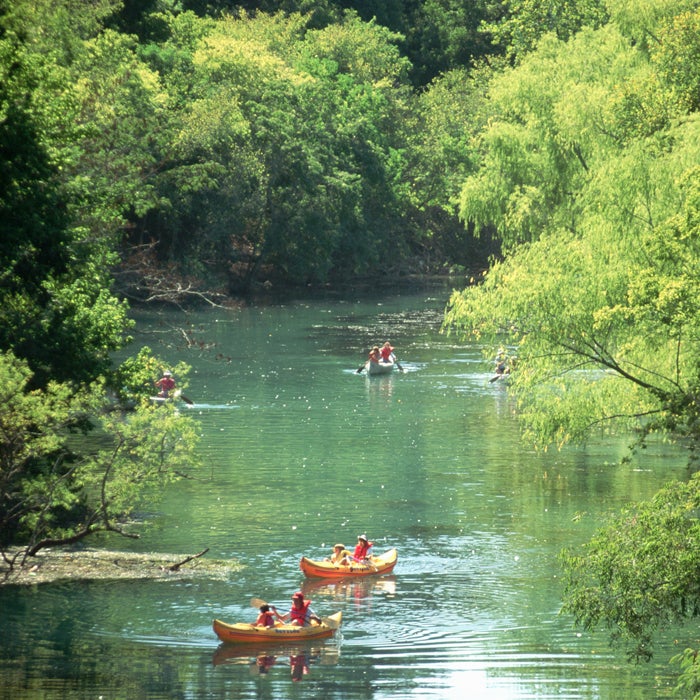 Paddle Boston - Charles River Canoe & Kayak :: Sales, Rentals, Trips,  Instruction, and Gear in Boston < Paddling Map