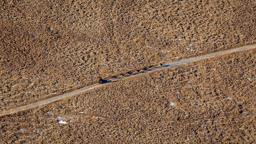 2014 iditarod iditarod iditarod 2014 koyuk