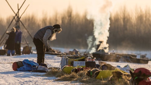 2014 iditarod iditarod iditarod 2014 nikolai