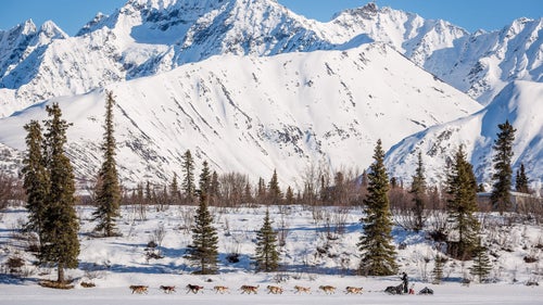 2014 iditarod iditarod iditarod 2014 rainy pass