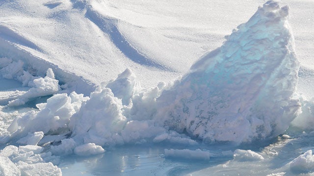 The Arctic may be ice-free by 2054.