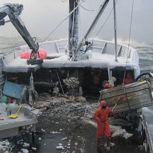 bering sea crabs fishing boat alaska