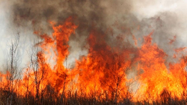 A mega-fire is expected to form if two large wildfires merge in New South Wales this week.