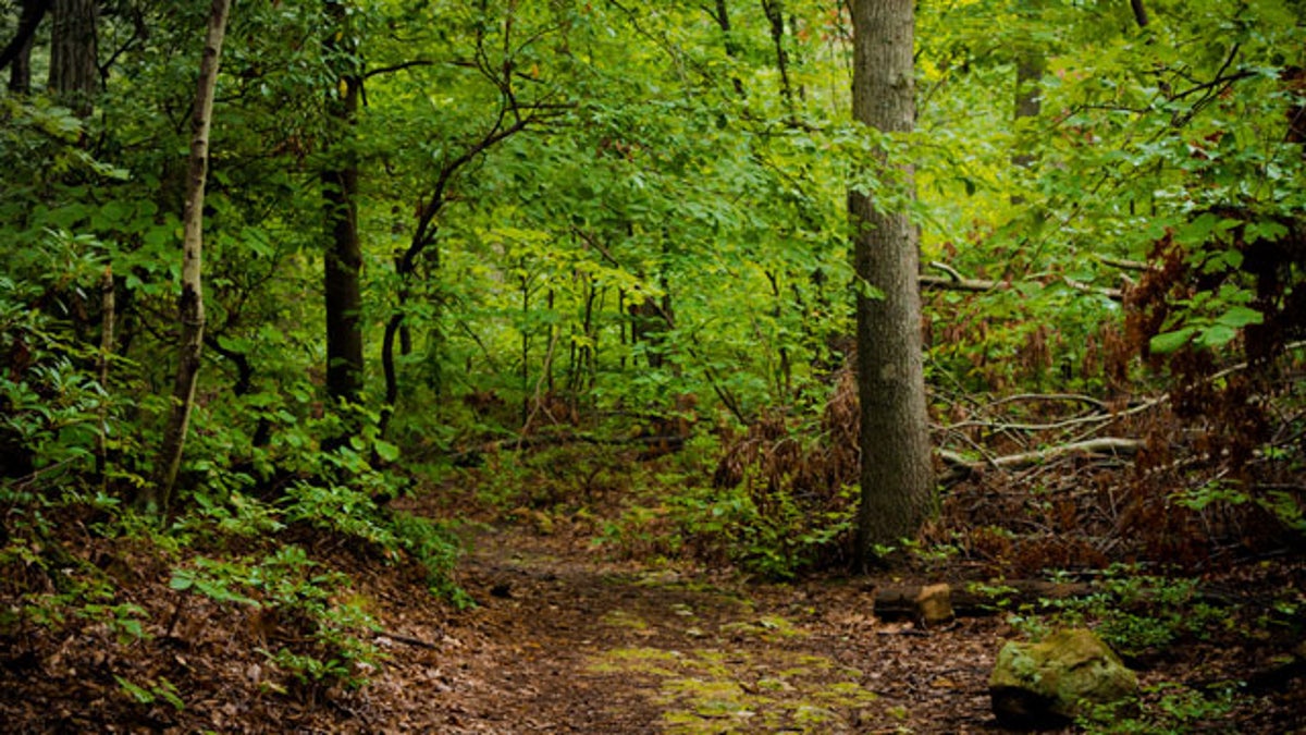 Sasquatch Genome Project Releases Bigfoot Video