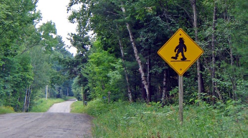 sign road trees woods bush winding country leaves grass sasquatch bigfoot caution roadsign crosswalk