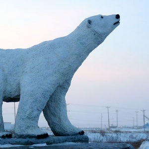 polar bear statue churchill canada