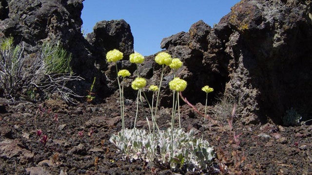 Craters of the Moon National Mo