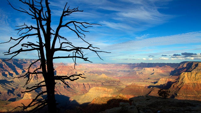 Grand Canyon Citations Shutdown ϳԹ Online News