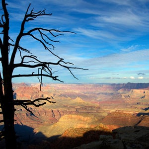 Grand Canyon Citations Shutdown Outside Online News
