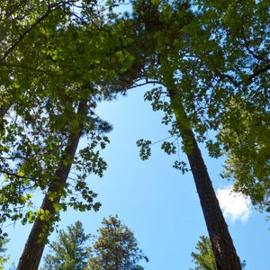 Outside Online Lost Hunter California