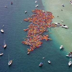 Kayak Paddlers August Guinness
