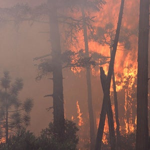 A wildfire in the Pacific Northwest