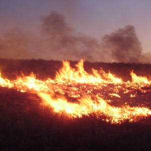 rim fire california yosemite wildfire 2013 wildfire season