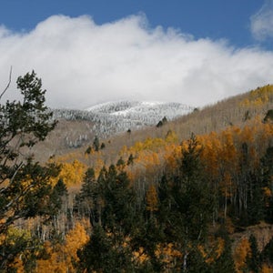 Santa Fe National Forest