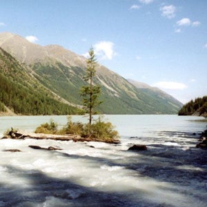 siberia siberian russian forst boy found siberian mowgli living alone hut woods