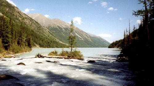 siberia siberian russian forst boy found siberian mowgli living alone hut woods