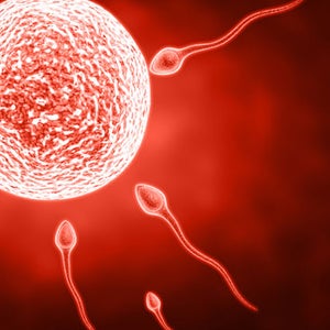 In a Harvard study, men who consumed half a portion of processed meat a day had just 5.5 percent 