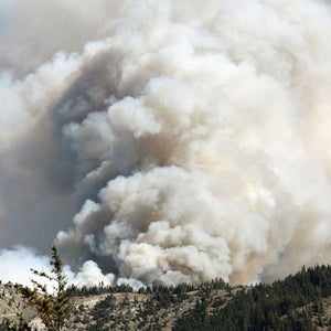 Fine-particle pollution from wildfire smoke can cause asthma attacks and pneumonia, as well as worsen chronic heart and lung diseases.