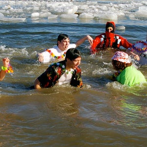 polar bear plunge