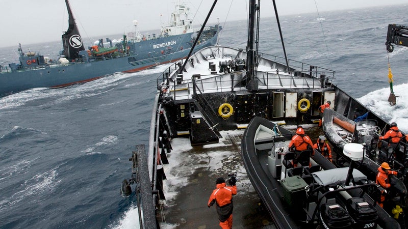 A Sea Shepherd ship confronts a Japanese whaling vessel.