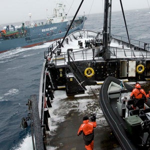 A Sea Shepherd ship confronts a Japanese whaling vessel.