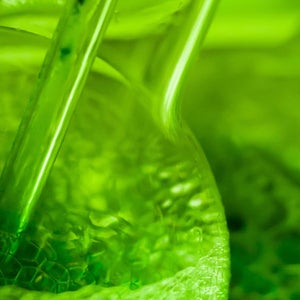 algae biofuels minutes clean process