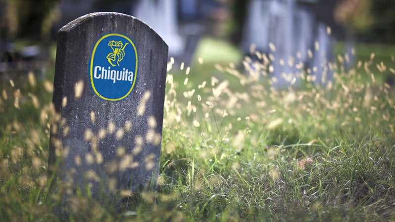 tombstone chiquita banana sticker plague fungus supply threatened costa rica