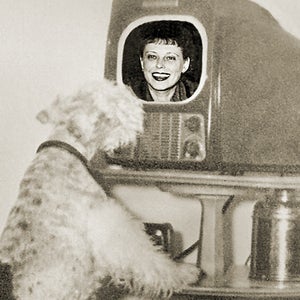 Your dog can likely recognize an image of you.